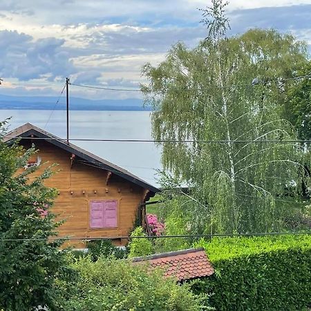 La Veranda De La Mouette Thonon-les-Bains Eksteriør billede