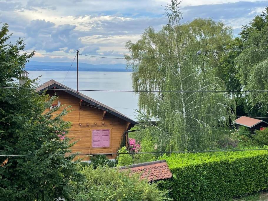La Veranda De La Mouette Thonon-les-Bains Eksteriør billede